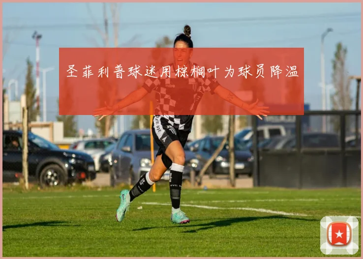 圣菲利普球迷用棕榈叶为球员降温