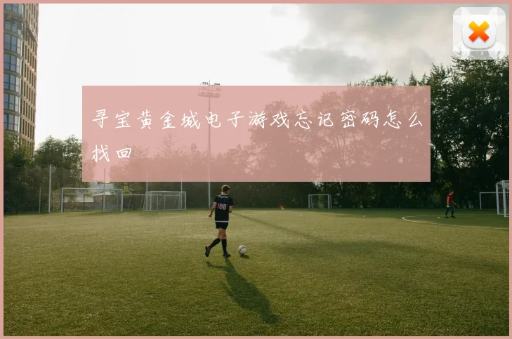 寻宝黄金城电子游戏忘记密码怎么找回